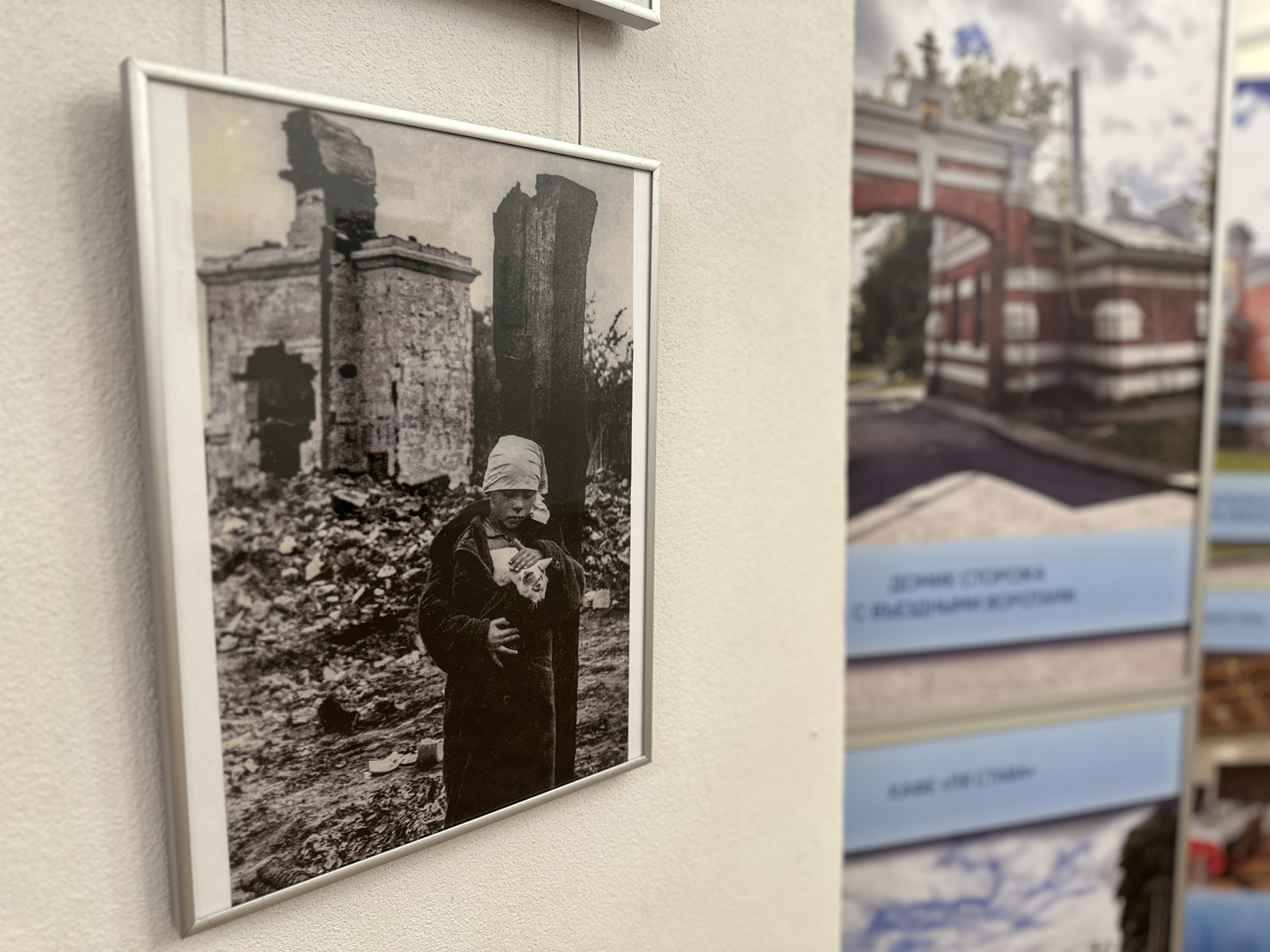 Открытие фотовыставки «Война в кадре: чтобы помнили»